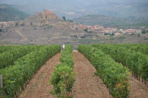 2015 Weinmuseum Rioja 026