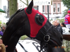 2014 Pferderennen Frankfurt 032